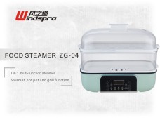 Steamer ZG-04